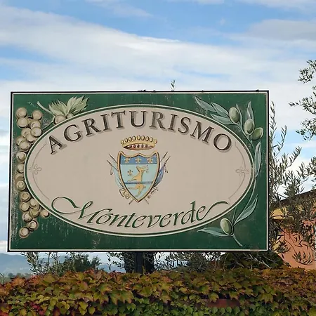 Monteverde
